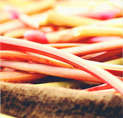 Delicious Apple & Rhubarb Puree Recipe